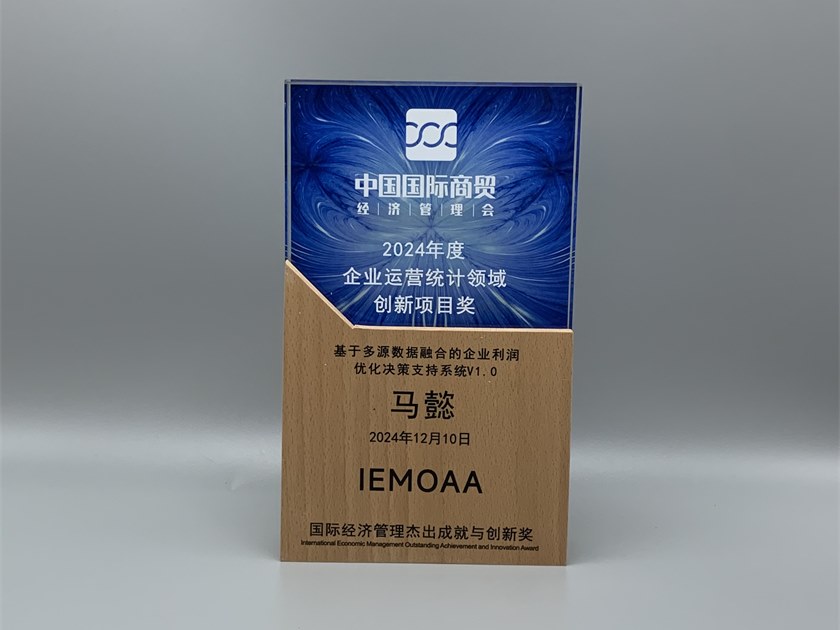 马懿2024年度企业运营统计领域创新项目奖证明图